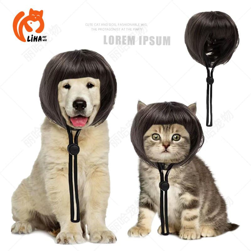 Peruca Engraçada De Bob Para Animais De Estimação , De Cosplay Fofa Cães E Gatos Vestir Festa De Halloween Com Alça Elás
