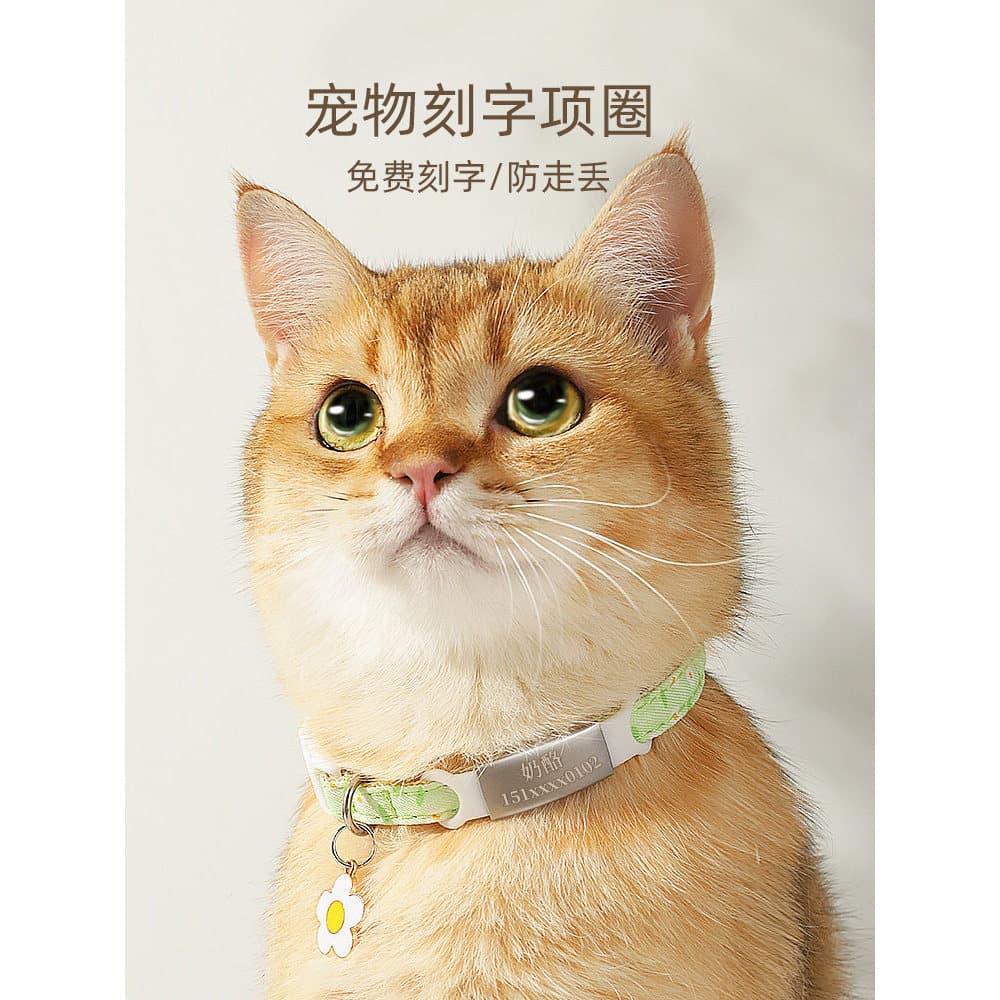 Gato marca colar letras gato filhote de cachorro coleira pescoço jóias sino colar gato pescoço jóias Pet Anti-perdido