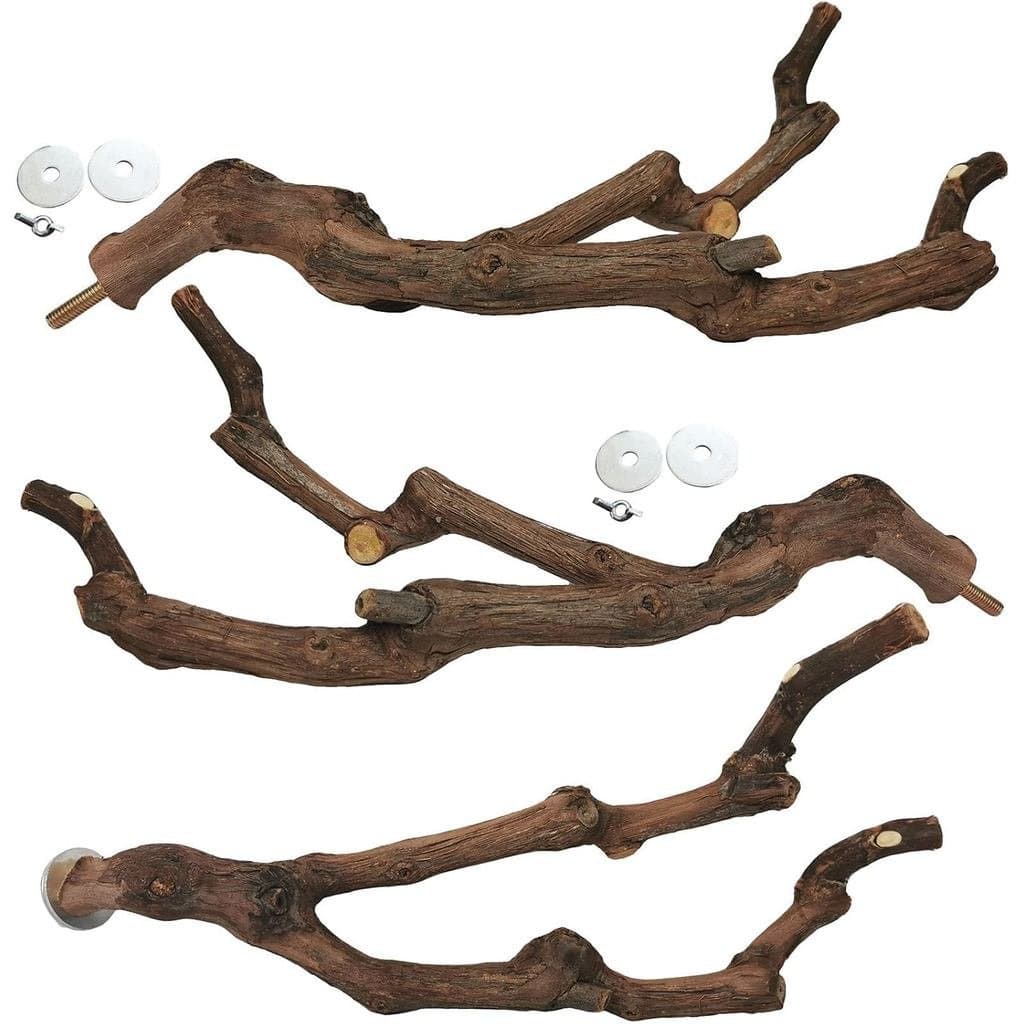kathson Poleiro Natural para Papagaios, para Pássaros, Galho de Uva Selvagem, Garfo para Afiar as Garras, Brinqu