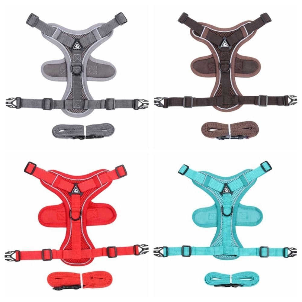Colete de Segurança para Gatos à Prova de Fuga, Ajustável e Refletivo, Conjunto de Colete e Guia para Gatos Pequenos e G