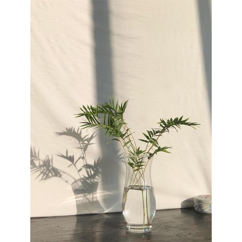 Pedidos europeus europeus americano Libby vaso de vidro restaurante Desktop Chen conjunto vaso de flores vaso hidropônic