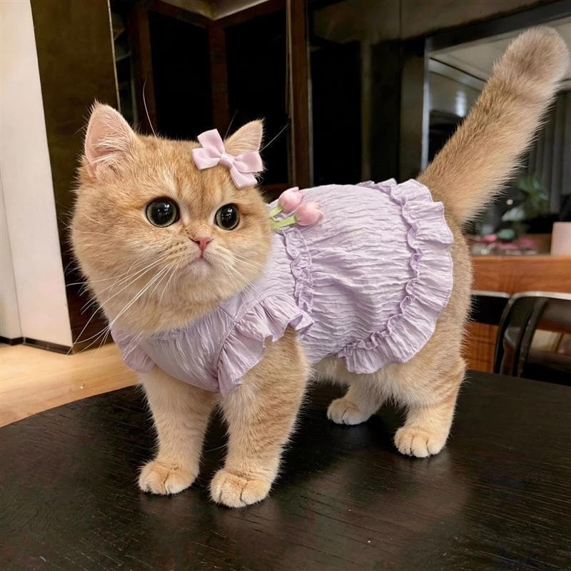Roupas de gato gatinho Anti-fiapos estilo fino vestido de verão alemão gato Muppets gato animais de estimação dedicados