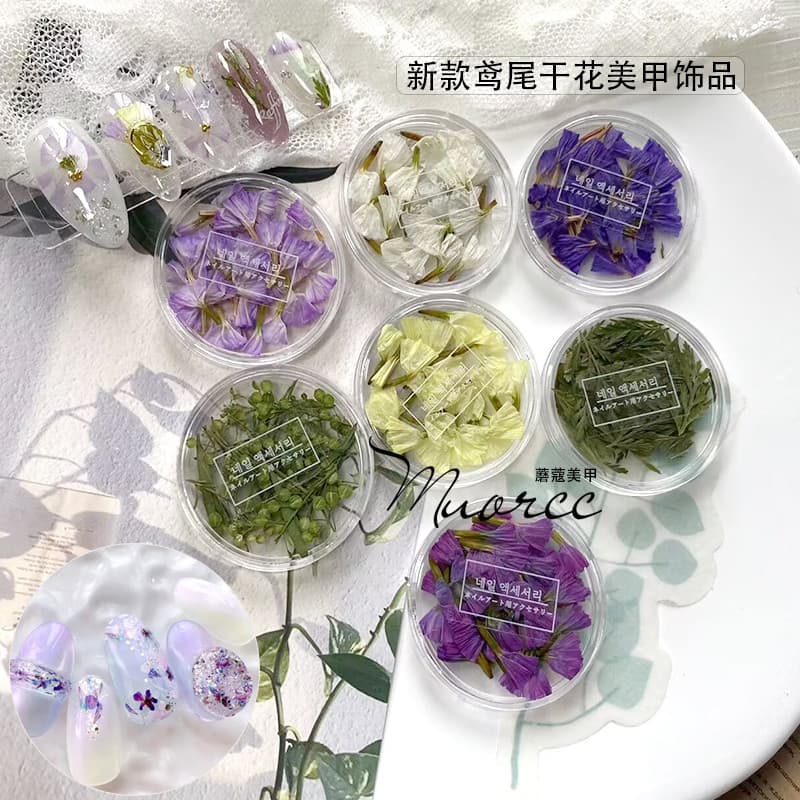 Estilo japonês hortelã mesmo estilo nicho novo estilo íris flor seca Manicure jóias prensadas flor Natural cor misturada