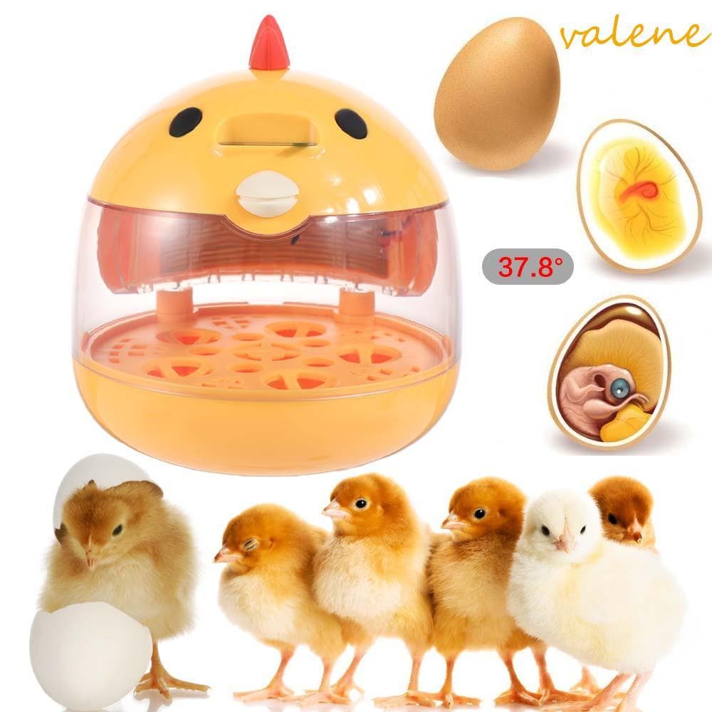 Incubadora De Ovos VALENE | Com Controle De Umidade De Baixo Ruído , Incubador Automático De Aves Temperatura