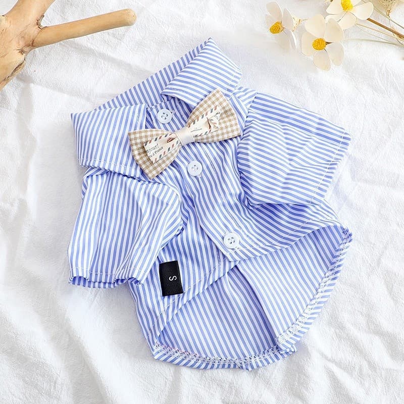 Roupas Para Cães E Gatos Finas De Primavera Verão Camisa Casual Respirável Teddy Bear Pomerânia Animais De Estimação