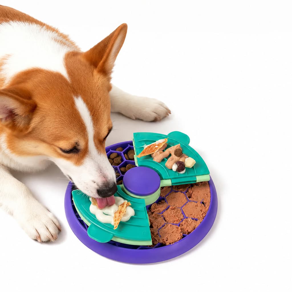 Comedouro lento interativo para cães - jogo multi-função
