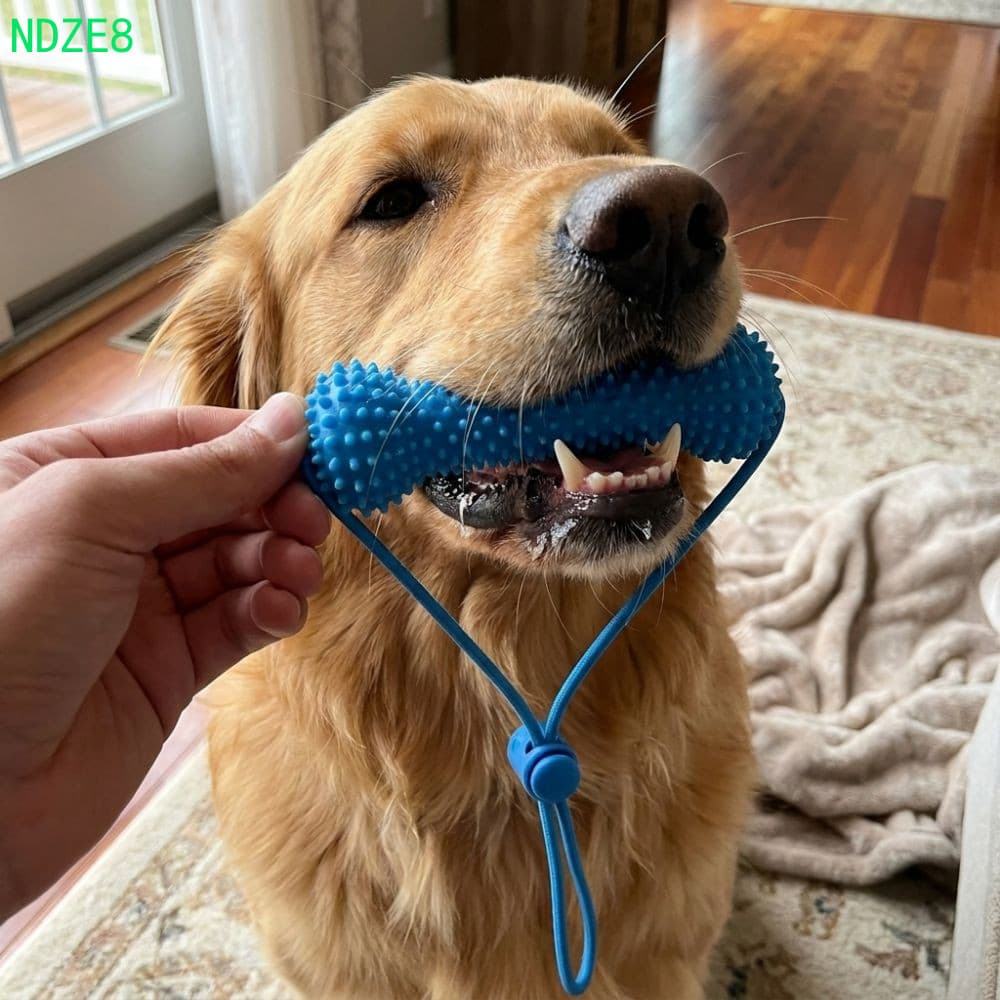 NDZE8 Brinquedo De Limpeza De Dentes De Animais De Estimação , Bastão De Dentição De Cachorro Resistente À Mordida Anti-