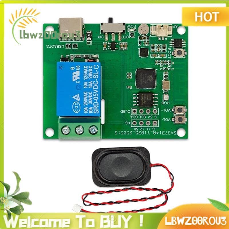 Alto-Falante Amplificador De Microfone Integrado-AI Módulo De Relé De Controle De Voz De 1 Via Interface TYPE-C De Recon