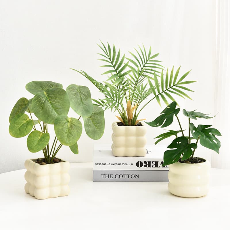 Ins estilo planta bolha vaso de flores creme cerâmica vaso interior Desktop planta verde vaso decorativo