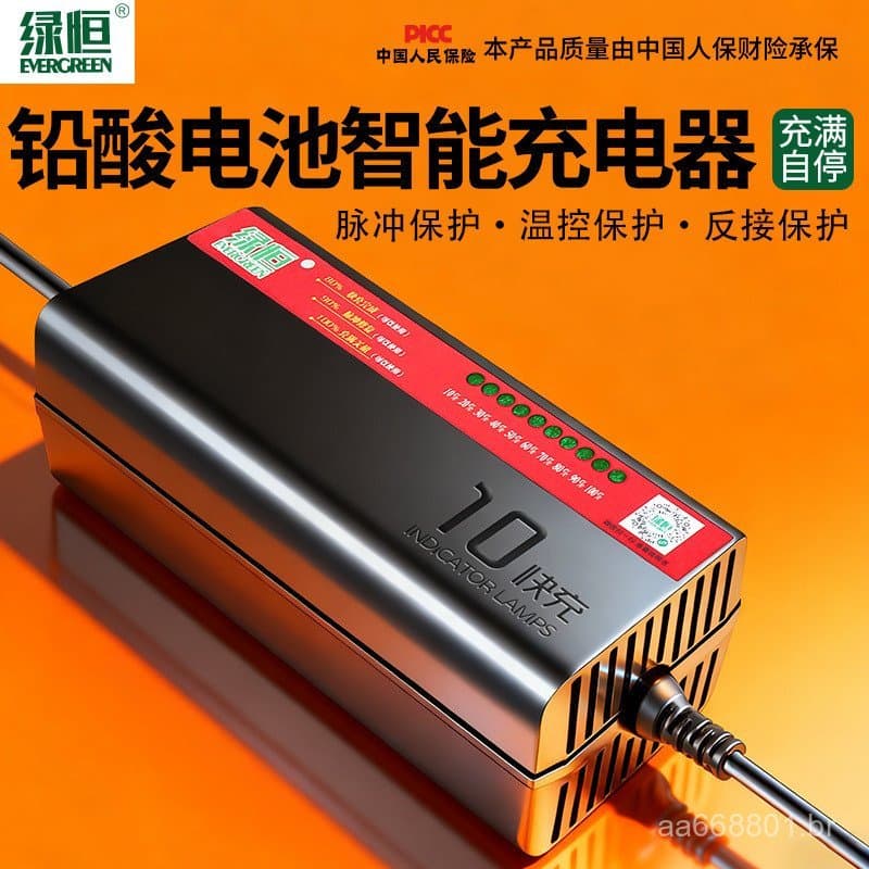 Carregador de Bateria Luheng Ten-Lamp 48V 60V 72V para Triciclos com Baterias de Chumbo-Ácido 6LDD