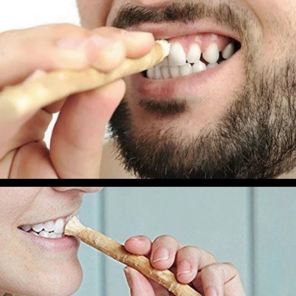 Miswak miswak dente vara ramo escova de dentes antiga limpeza dente planta árabe