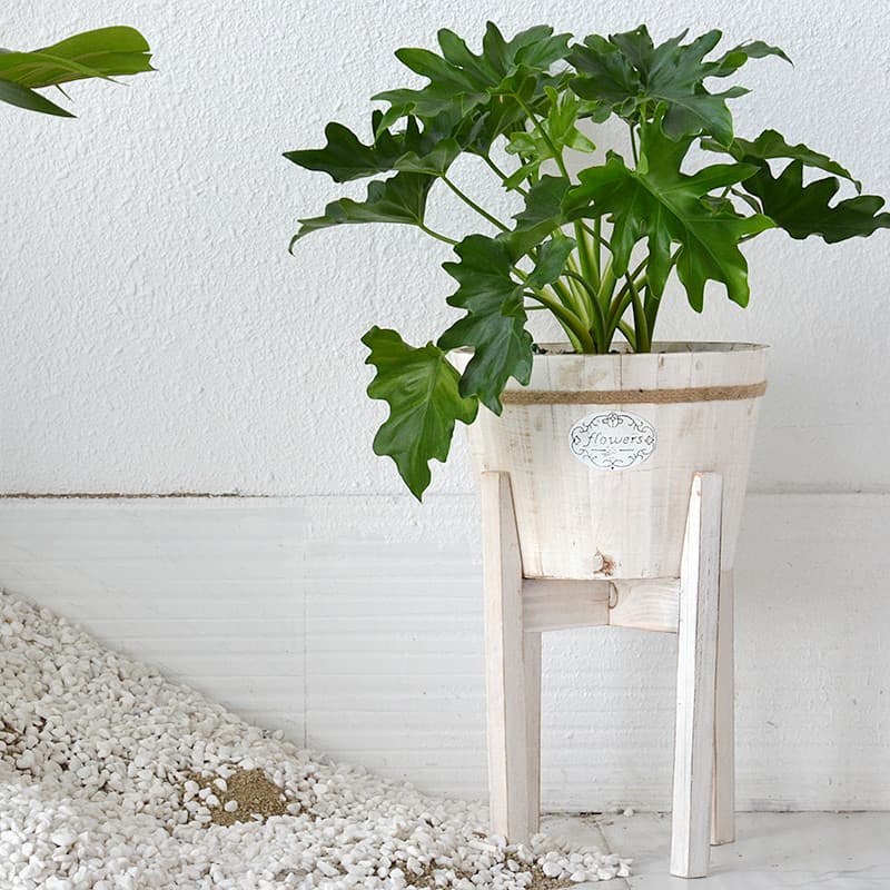 Vaso de flores nórdico criativo de madeira maciça, sala de estar, varanda, piso retrô, prateleira de flores, Monstera, p