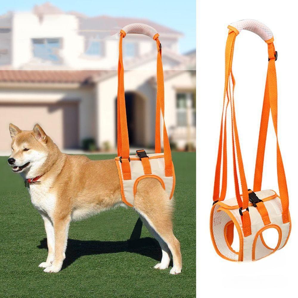 Cinta de suporte para animais de estimação: Uma cinta de suporte para as pernas adequada para cães idosos e cães com def