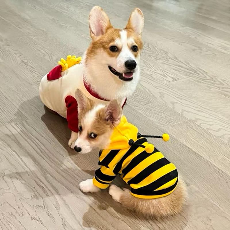 Roupas para cães outono inverno estilo quente pequena abelha moletom Teddy Bichon Pomeranian cães pequenos animais de es