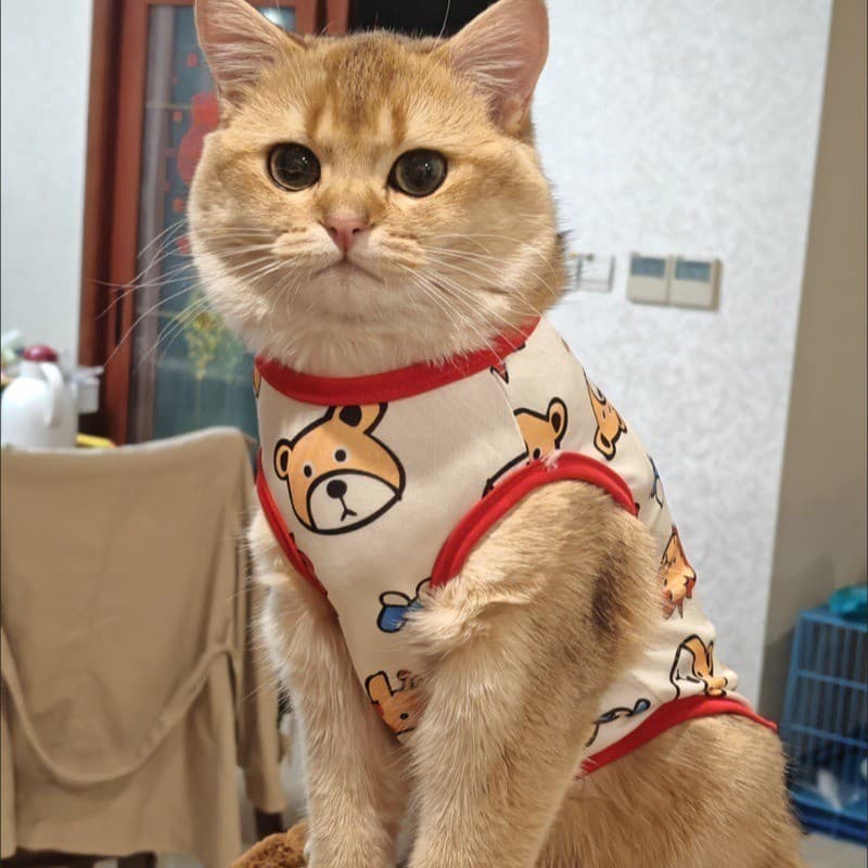 Colete para Gatos Roupa Pet Anti-Queda de Pelos Fina Respirável Roupa para Filhotes Estampa Divertida Verão Pet Sem Mang