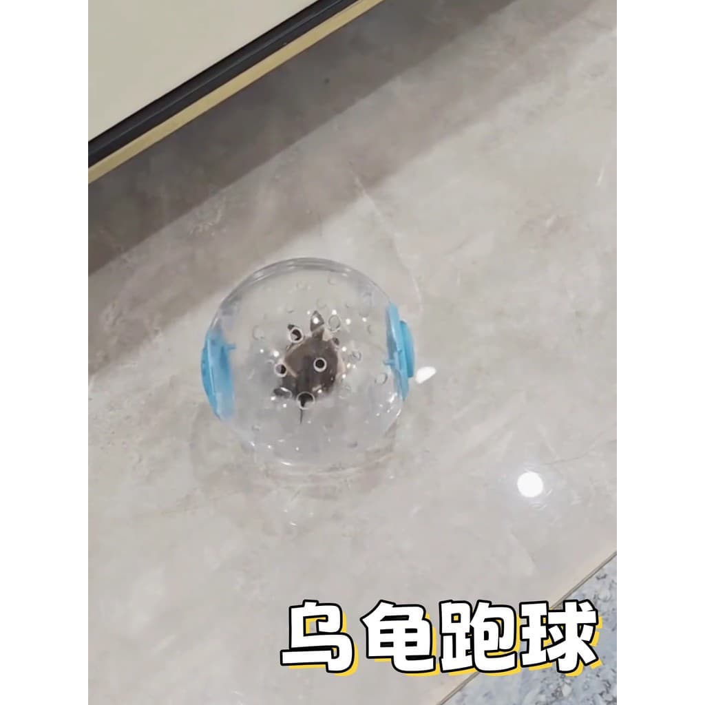 Tartaruga brinquedo especial Hamster correndo bola correndo roda rolo esportes bola suporte esquilo suprimentos andando