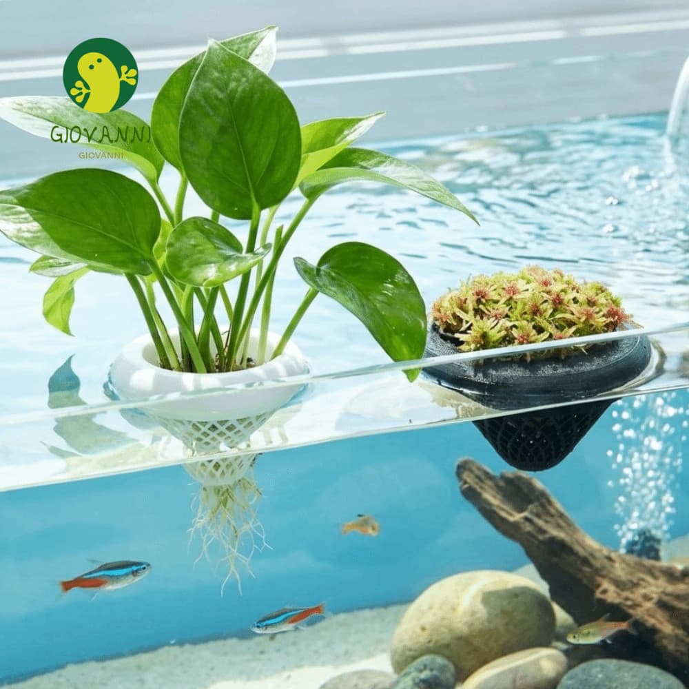 Cesta Flutuante De Plantio De Aquário GIOVANNI , Vasos De Cultivo De Plantas Hidropônicas Impressas Em 3D , Plástico