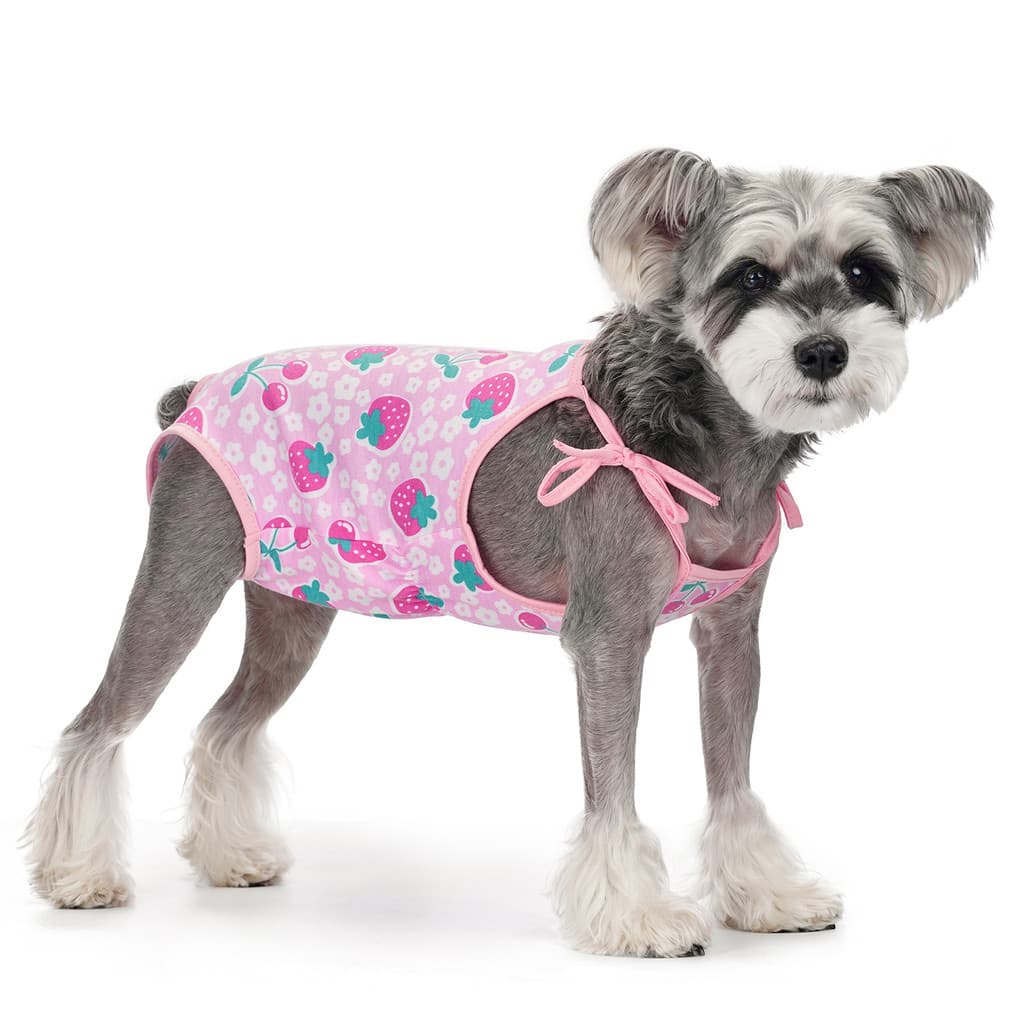 Macacão ajustável com cadarço para cães, tecido respirável para cães pequenos, adequado para proteção de feridas pós-cir