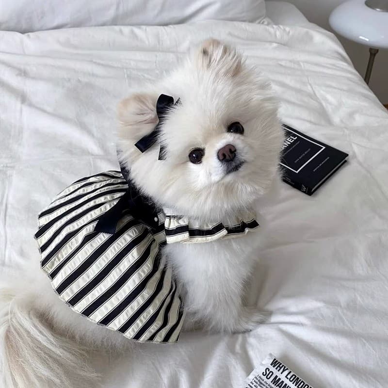 Primavera verão novo estilo filhote de cachorro grande arco tração vestido de princesa pequeno filhote de cachorro Bicho