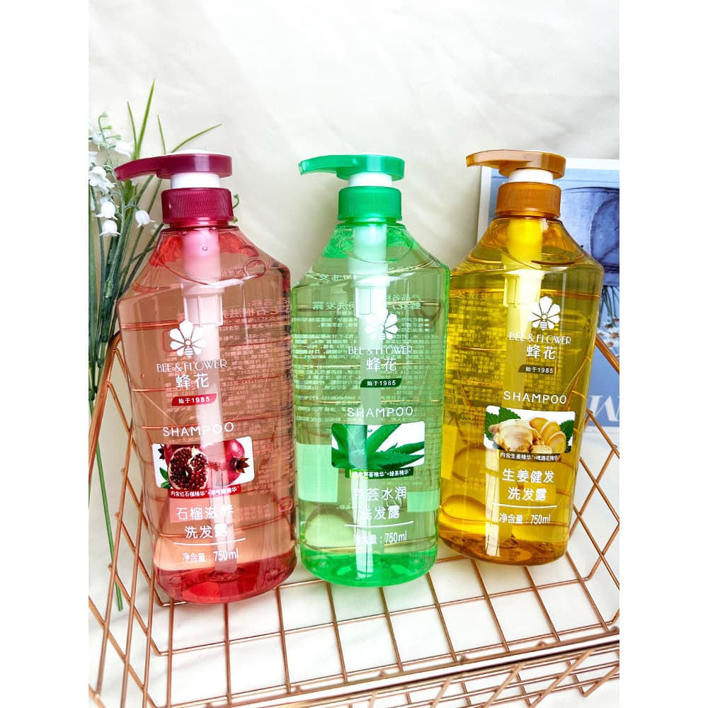 Abelha flor Silicone livre gengibre shampoo romã shampoo Aloe Vera shampoo grande garrafa controle de óleo hidratante
