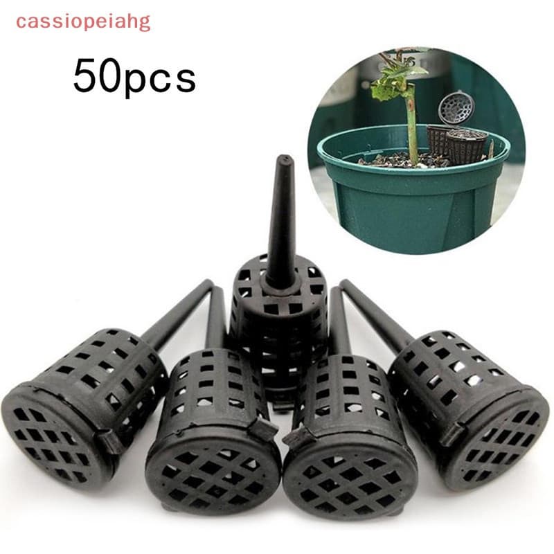 (cassiopeiahg) 50 peças/pacote de fertilizante Osmocote para plantas em vasos de orquídeas