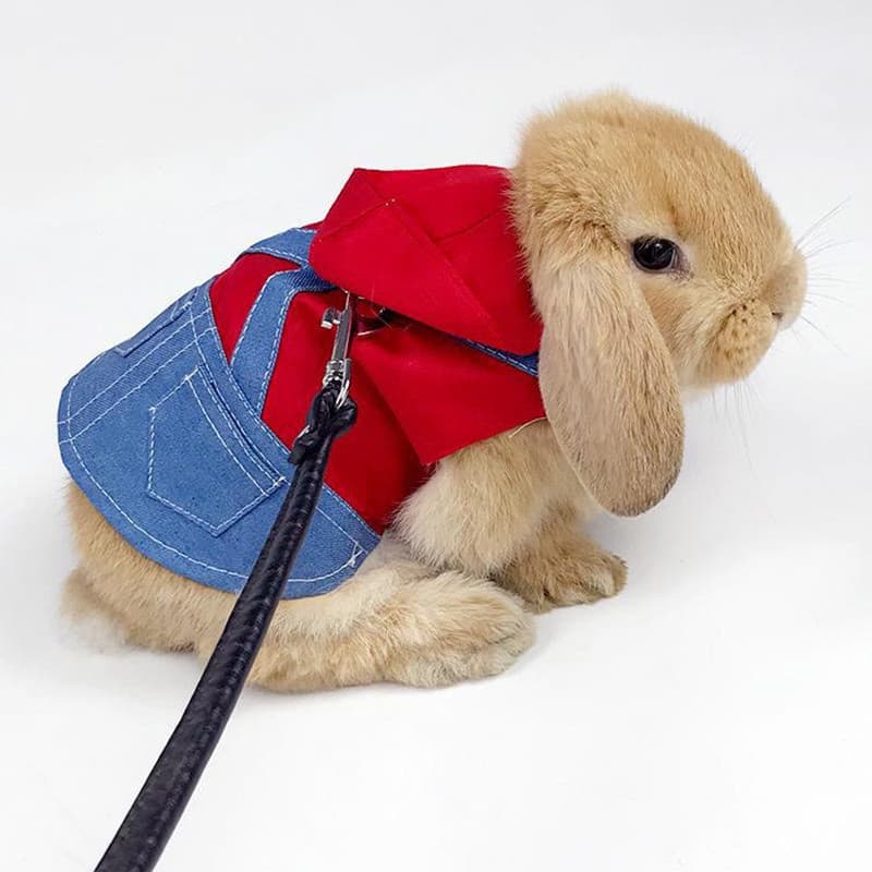 Walking Small Animais Arreios Para De Estimação Coelhos Chinchillas Roupas  Com Fivela Guiné Porco Holanda Lops Leash