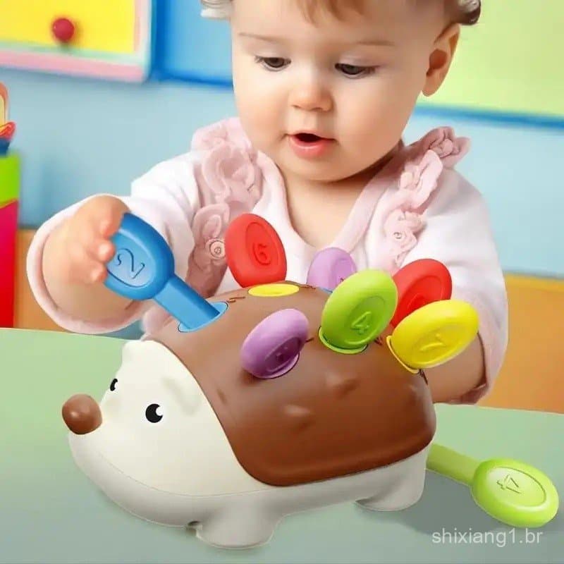Brinquedos de Habilidades Motoras Finas para Crianças Pequenas, Brinquedo Educacional Sensorial Montessori de Ouriço par