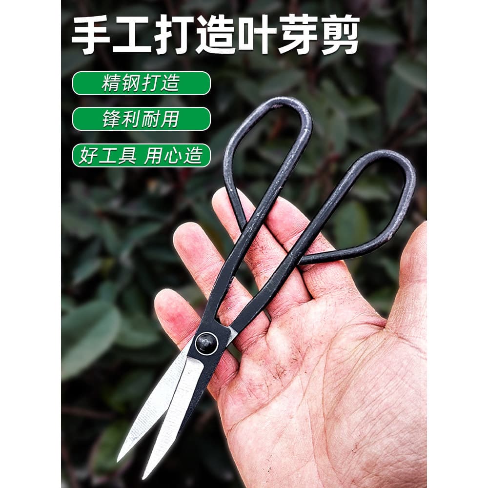 Tesouras de poda Tesouras de jardinagem para botões de folhas Tesouras domésticas para galhos pequenos Bonsai Jardim Fer