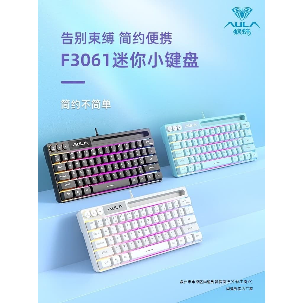 2026 Novo Estilo Tarântula F3061 Teclado para Jogos Pequeno mini Mini Com Fio Mudo Laptop Escritório Externo202607