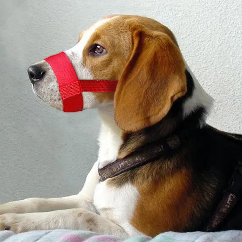 LILYES Focinho De Cachorro Prático Parar De Latir Anti-Mordida 1 Peça Capa De Boca Colorida Durável
