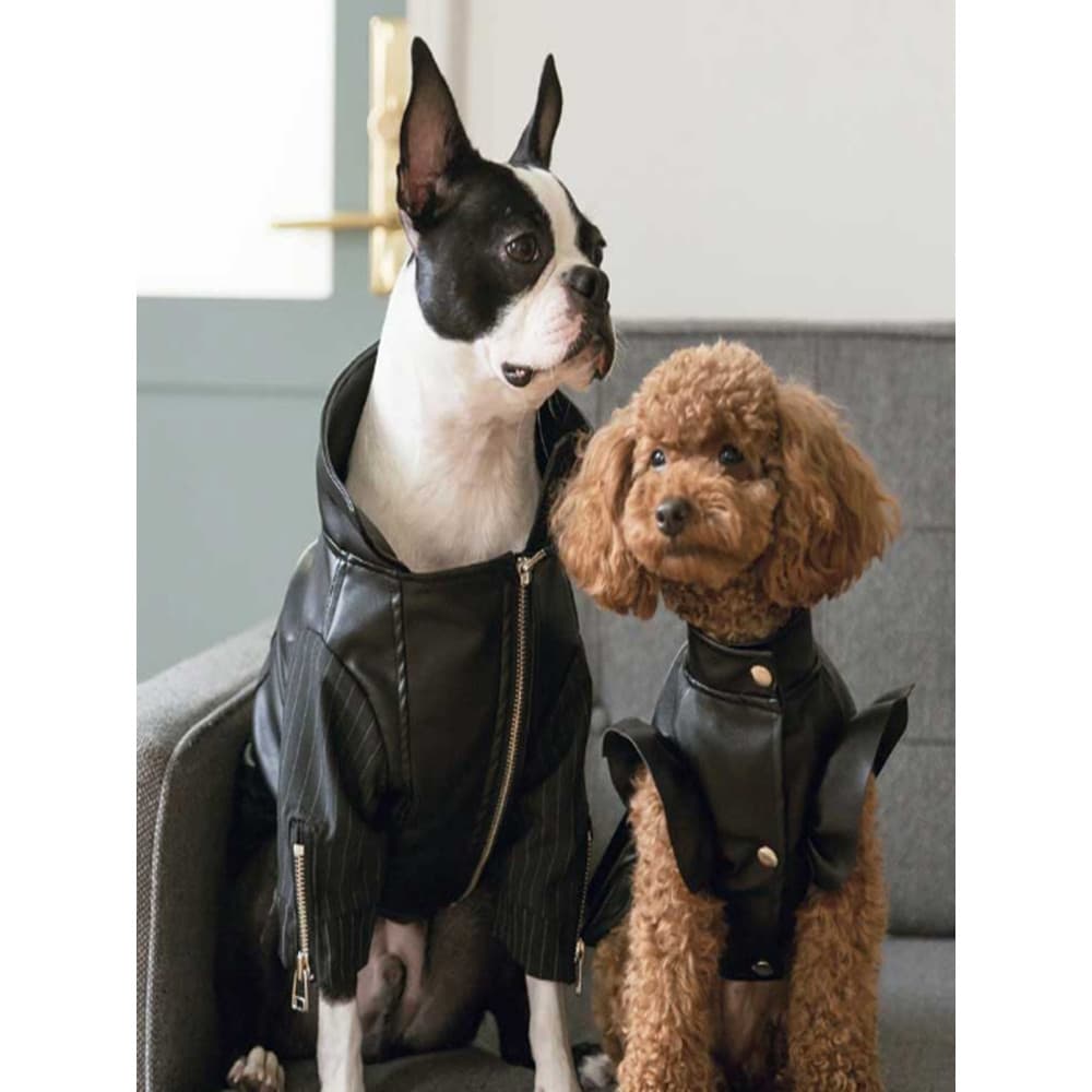 Roupas de couro pequeno tamanho médio Poodle Bichon Pomeranian Chihuahua Pet cão gato roupas acolchoadas jaqueta roupas