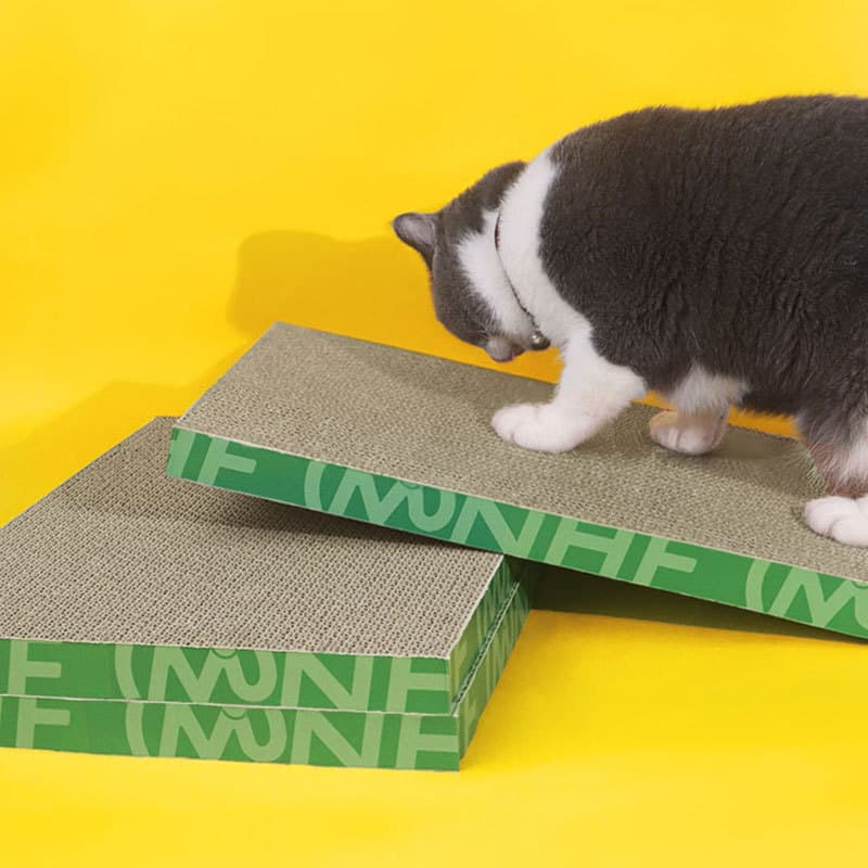 Brinquedos para suprimentos de gatos