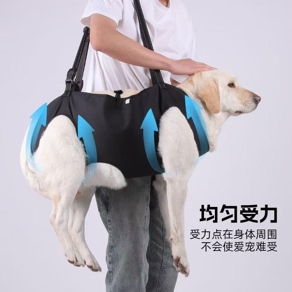 Cinto auxiliar para cães idosos, escadas para cães idosos, auxílio para pernas traseiras paralisados, reforço grande par