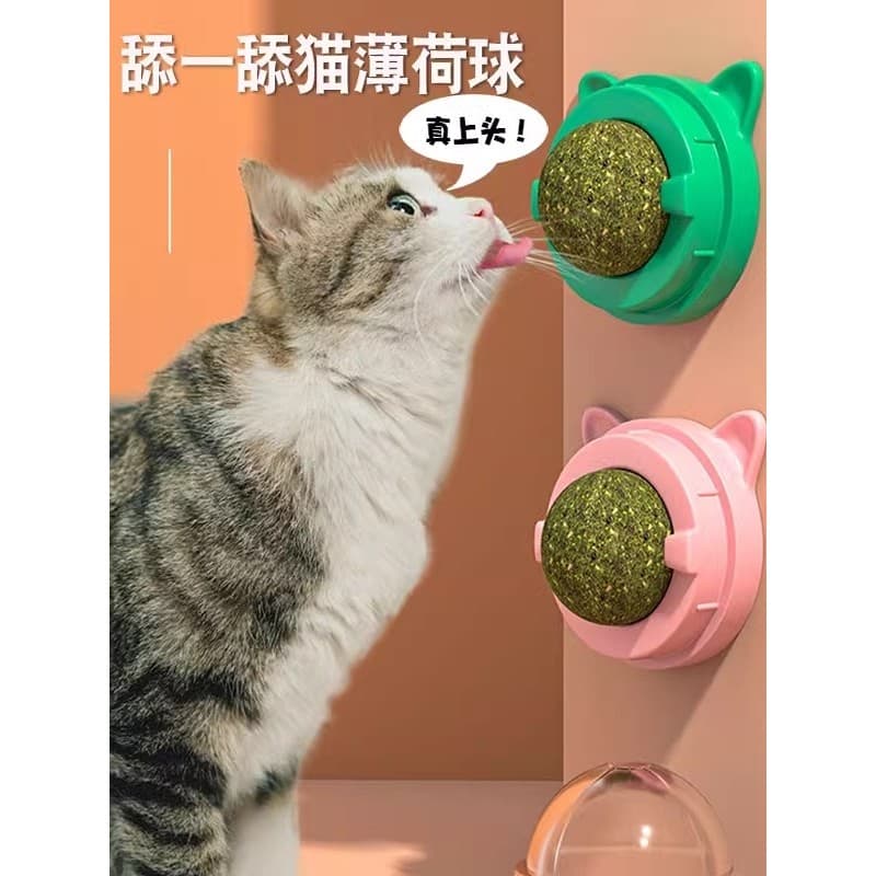 Suprimentos para gatos