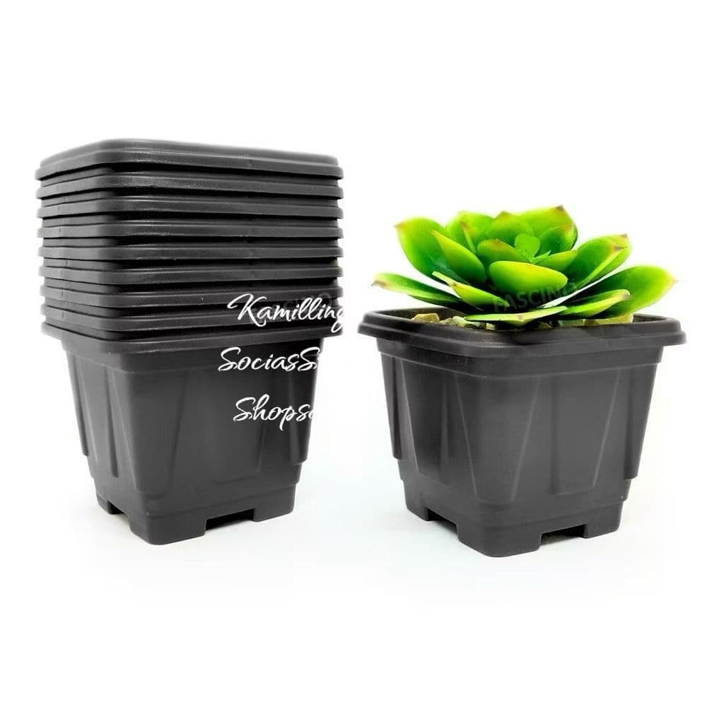Conjunto De Vasos Cachepot Preto Tamanho G Para Suculentas e Cactos Jardim Decoração