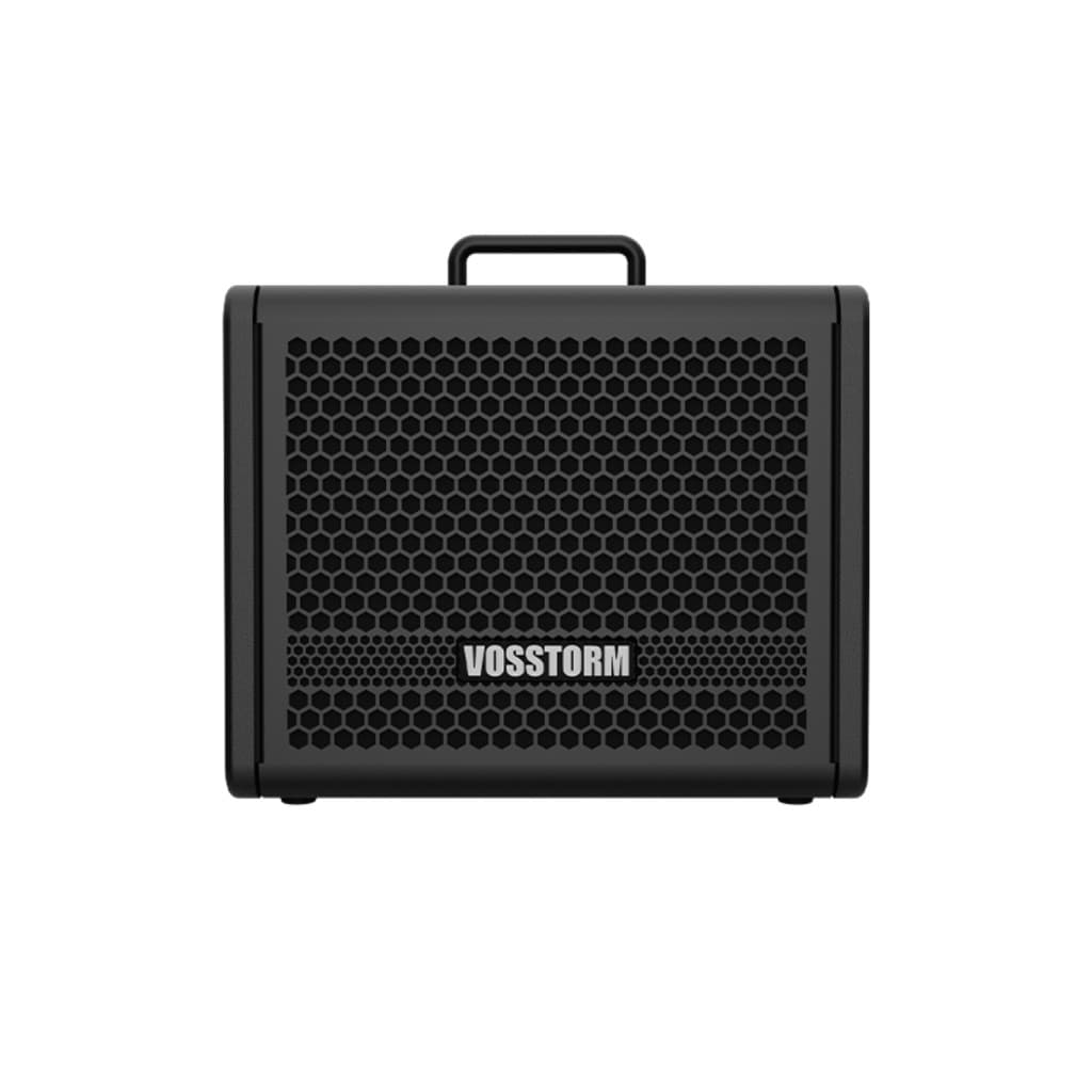 Amplificador Para Guitarra 8 Pol 25w Vosstorm Gx-8