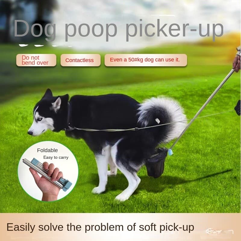 Cão Pegando Banheiro Fora Andando Saco De Coleta De