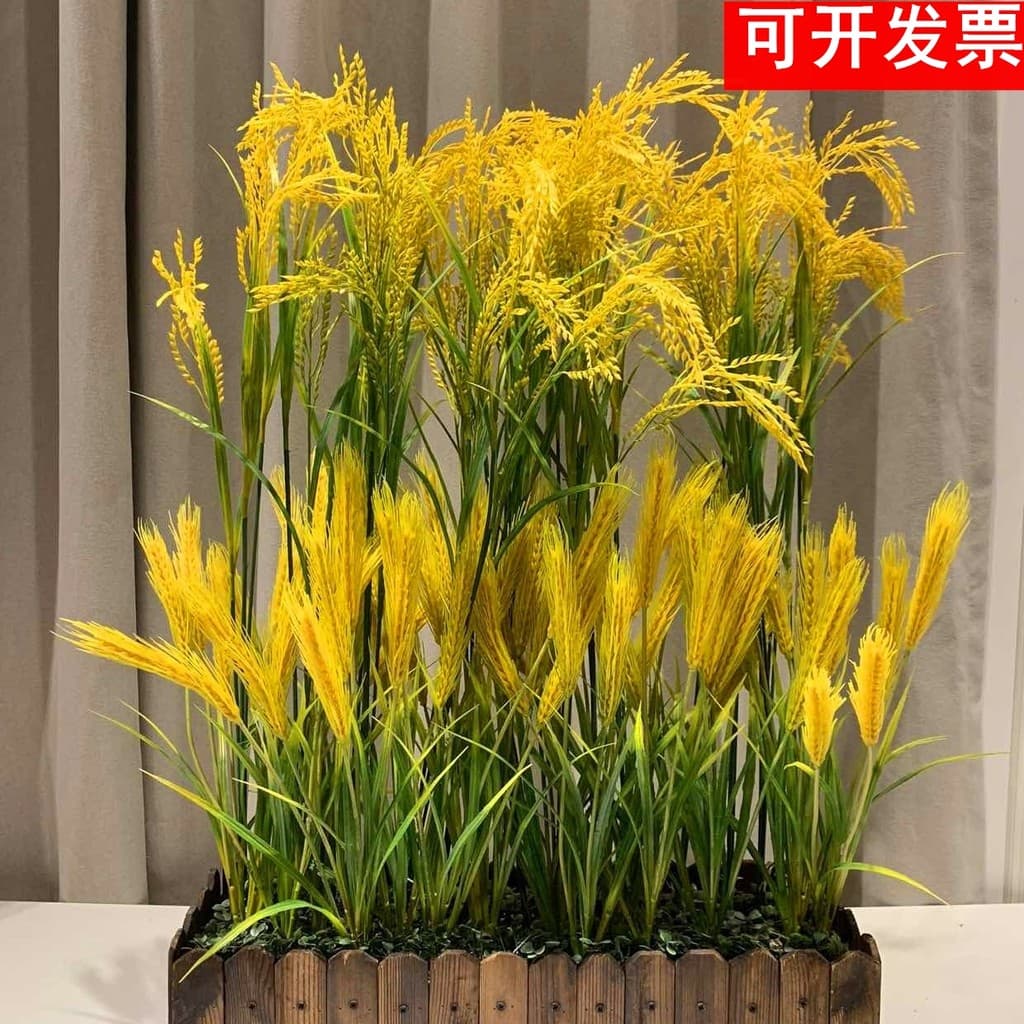 Simulação orelha de cevada flor seca trigo arroz abertura cevada decoração Pastoral presente tiro adereços decoração da
