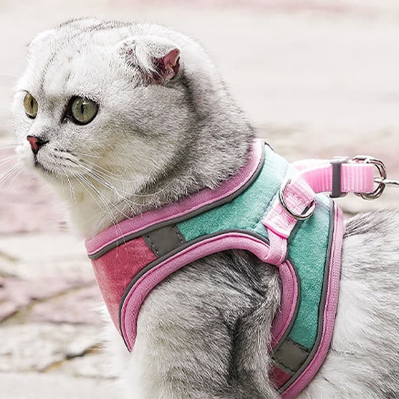 Correias De Peito Para Animais De Estimação Estilo Colete De Gato Reflexivo Trela Traseira Anti-Quebra Corda De Caminhad