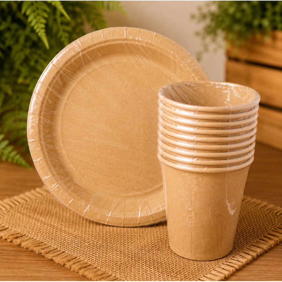 Kit Prato E Copo De Papel Kraft Ecológico Ecofriendly Festas Descartável 20 / 40 / 60 Peças