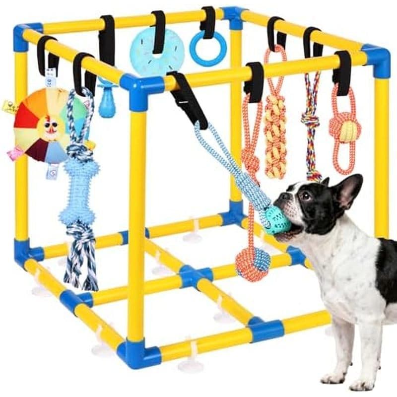 Ginásio De Selva Para Gatos Com Brinquedos Interativos Suspensos , Centro De Atividades Rede Gatinhos Auto-Groomer , Est
