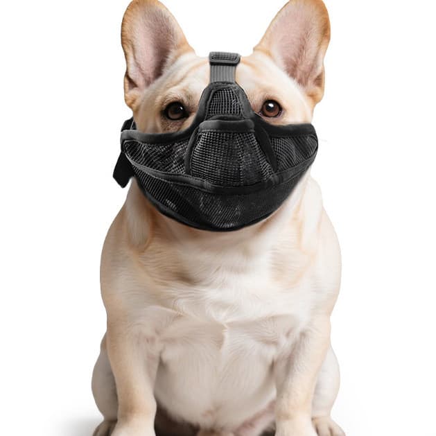 Focinho de cachorro respirável, rolha de casca de animal de estimação, anti-mordida, método de alimentação acidental, co