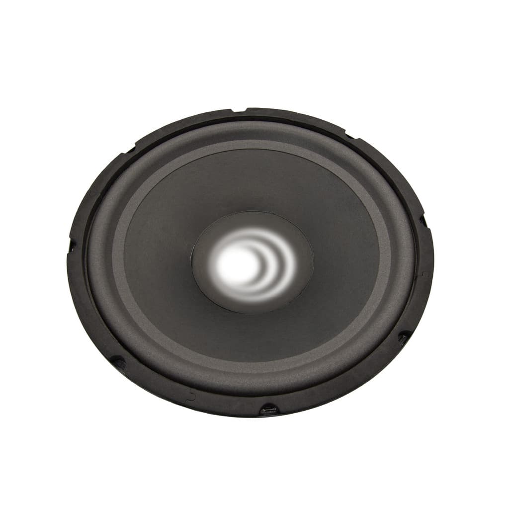 Alto Falante Woofer Subwoofer  10" 40W Rms 4 Ohms Unitário