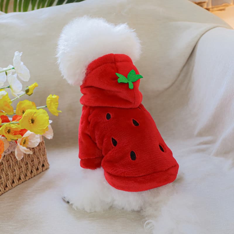 Roupa de Transformação em Flanela Curta - Moletom para Cães e Gatos com Estampa de Morango, Vermelho, Forrado, Engrossad