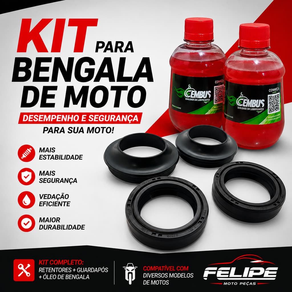 2 Retentor de Bengala  e  2 Guarda Pó + Óleo Hidráulico para motos CBX 250 CB 300 CB 500  Fazer 250