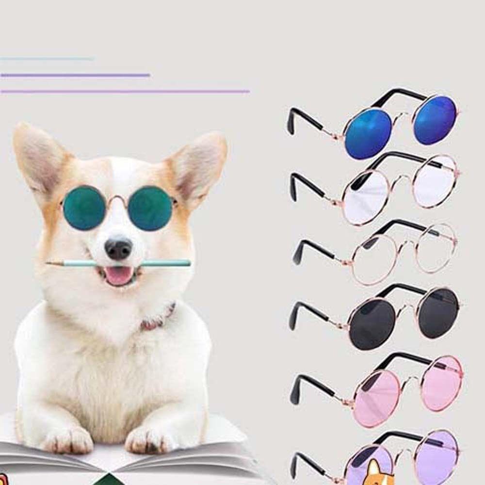 S1TNOERI Óculos De Sol Redondos Vintage Acessórios Para Gatos Cães Pequenos Reflexão Lindas Fotos Adereços