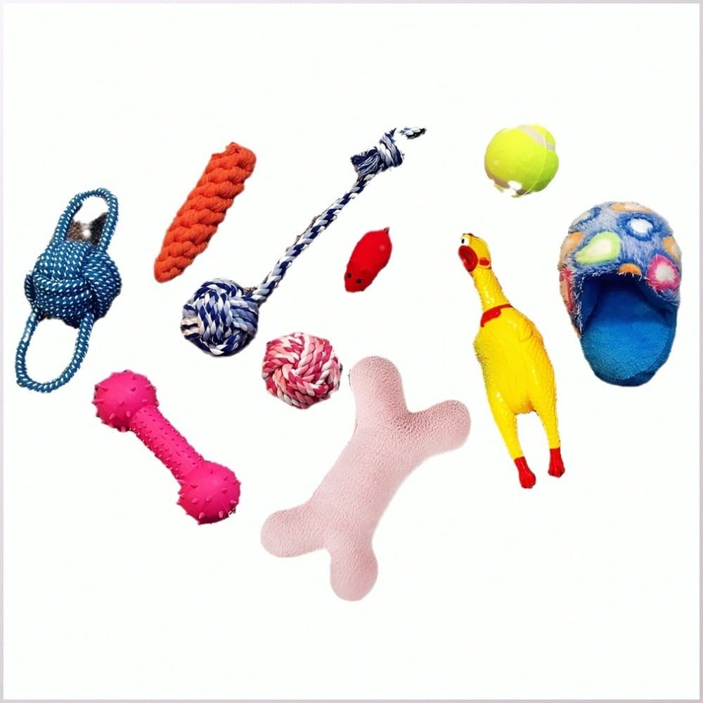 [Interativo] Kit De Brinquedos Para Cachorro/Brinquedo Sonoro/Brinquedo Para Treino/Conjunto Para Diversão
