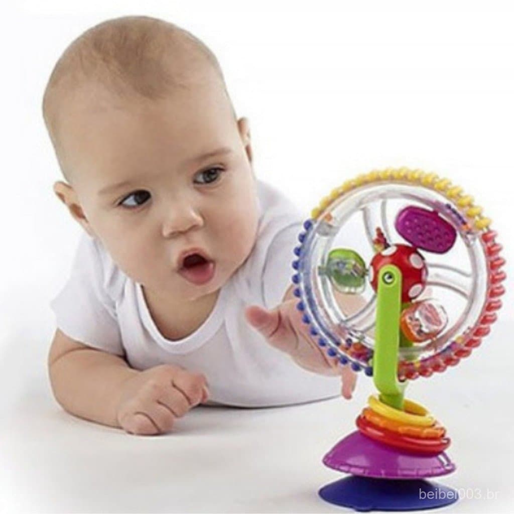 Brinquedo Roda Sensorial Rodinha Giratoria Com Ventosa Promoção