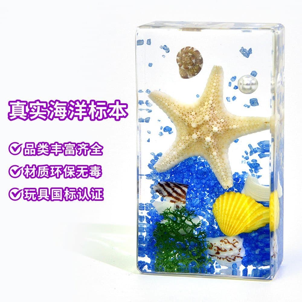 Espécimes realistas de estrela-do-mar e caranguejo do oceano, feitos de resina, caixa surpresa, pequenos ornamentos cria