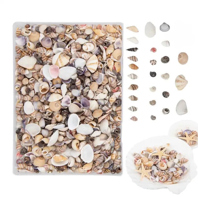 35g Mini Conchas Misturadas Pequenas Para Artesanato DIY Decoração De Tanque De Peixes De Aquário